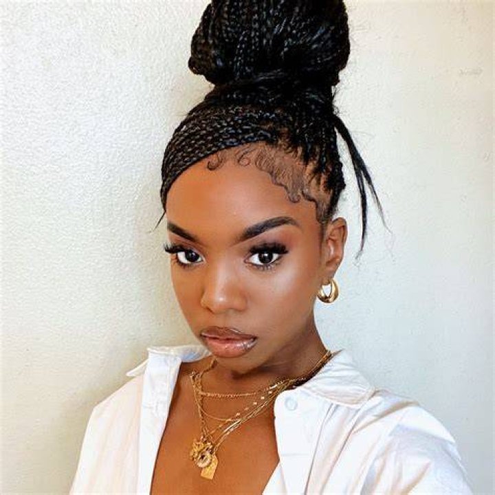 20+ Cute Knotless Braids Hairstyles 2021 Fabulous Knotless Box Braids