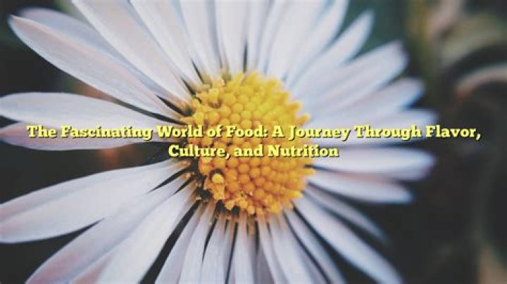 A Journey Of Flavor And Discovery