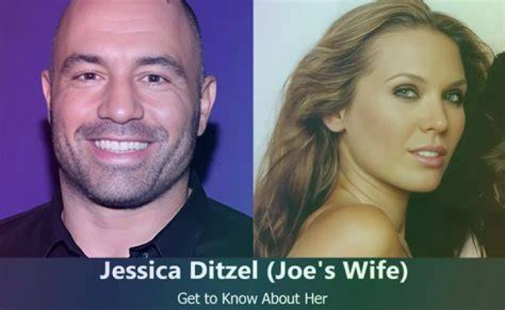 Discoveries And Insights Unleashed: The Jessica Ditzel Podcast