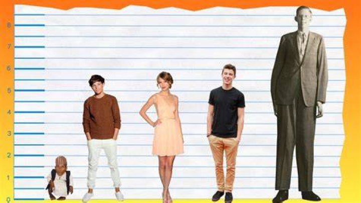 How Tall Is Louis Tomlinson? Height Comparison! YouTube