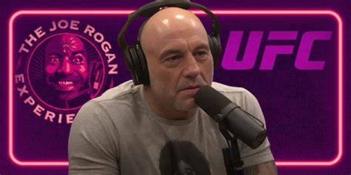 Joe Rogan News, Photos, Videos, and Movies or Albums Yahoo