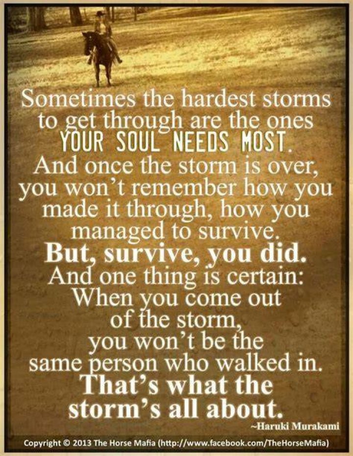 Surviving The Storm Quotes. QuotesGram