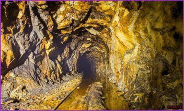 Unveiling The Treasures Of Airika Cal: Discoveries And Insights